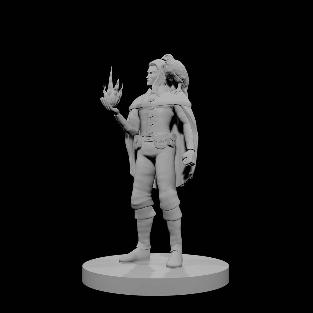 Elf Male Sorcerer with Hawk
