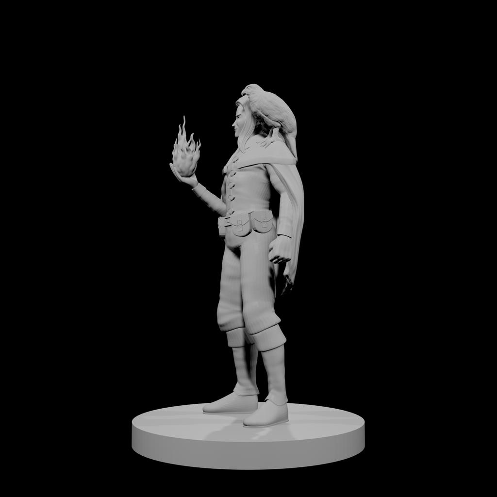 Elf Male Sorcerer with Hawk