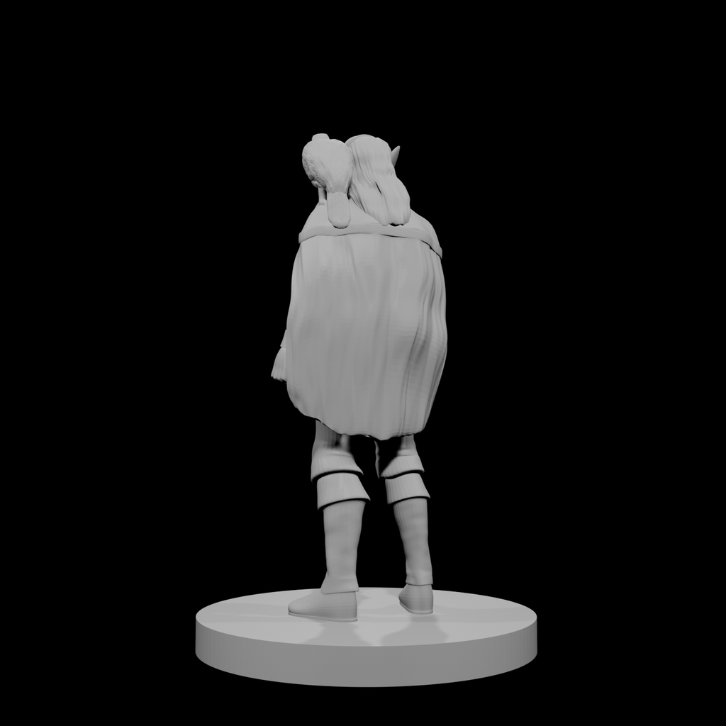 Elf Male Sorcerer with Hawk