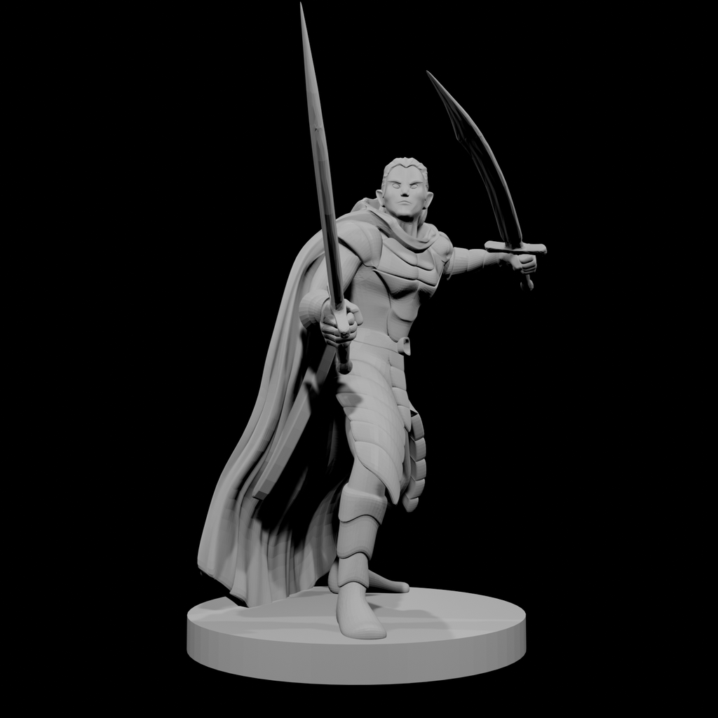 Elf Male Two Sword Ranger 3