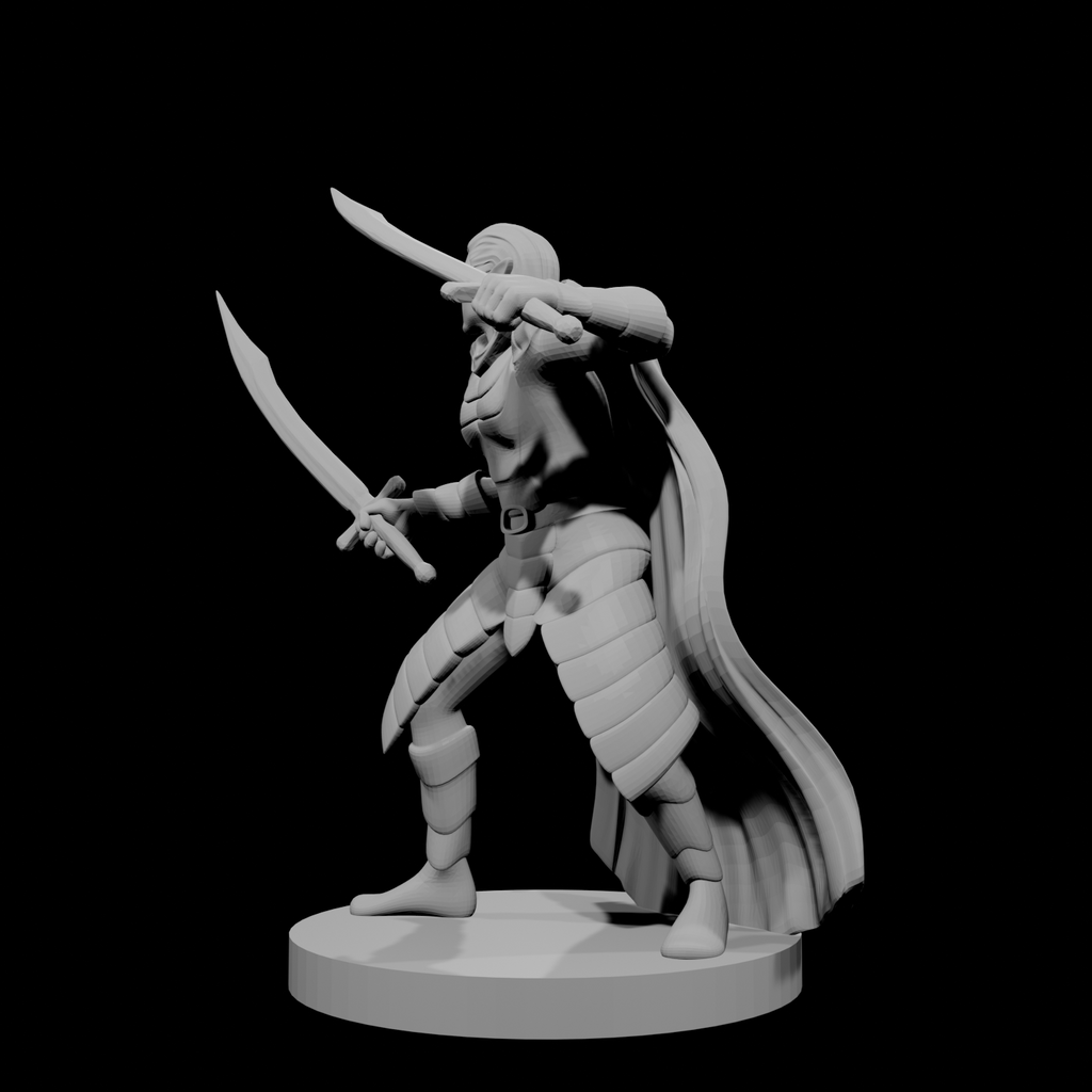 Elf Male Two Sword Ranger 3