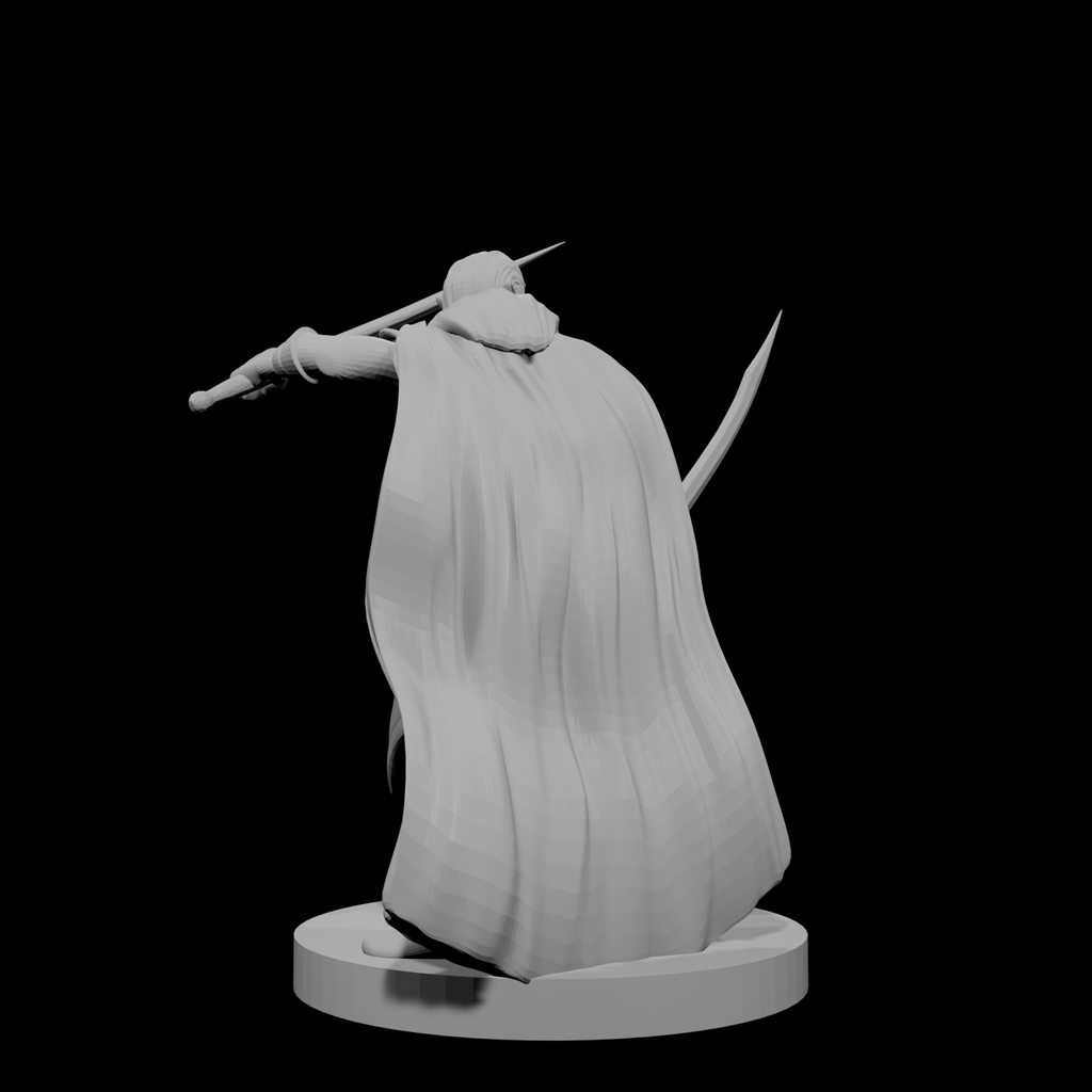 Elf Male Two Sword Ranger 3