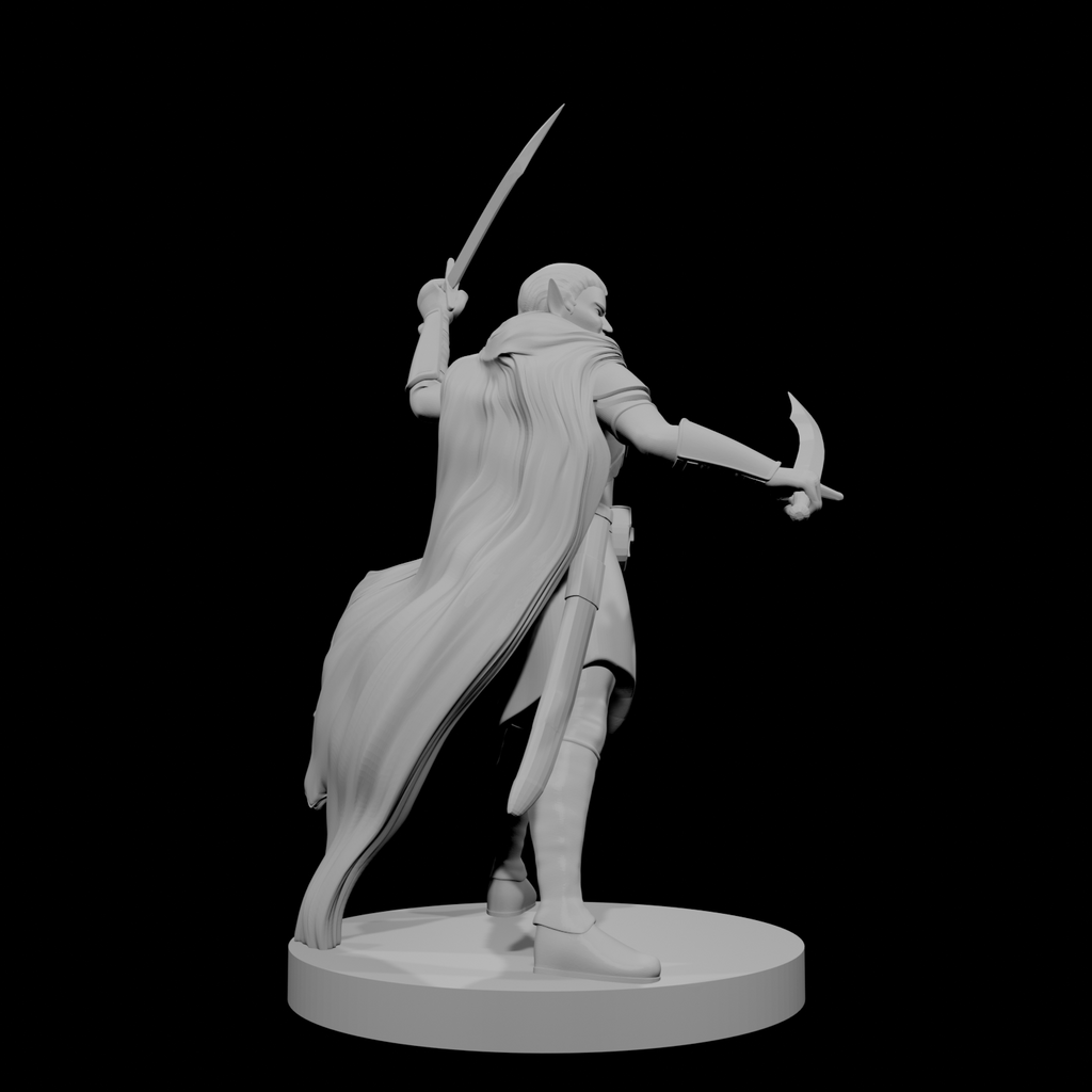 Elf Male Two Sword Ranger 4