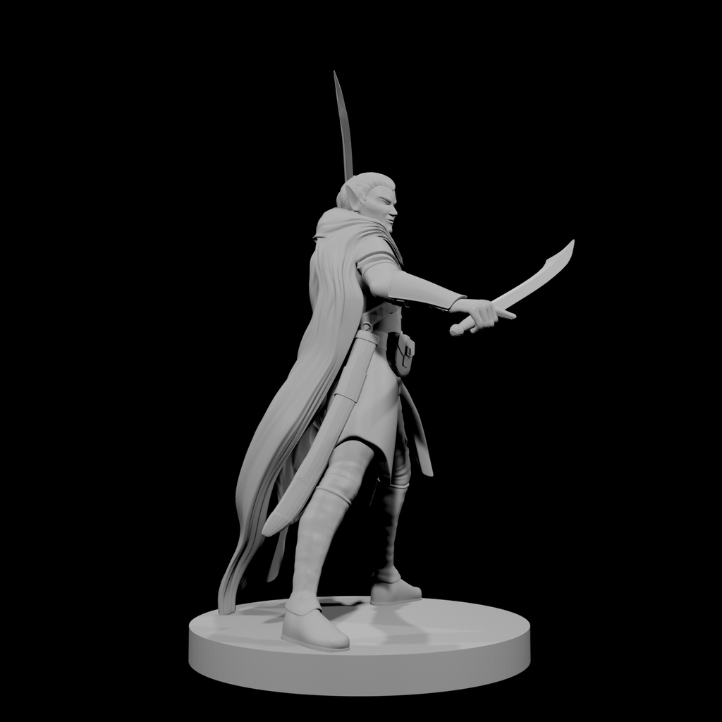 Elf Male Two Sword Ranger 4
