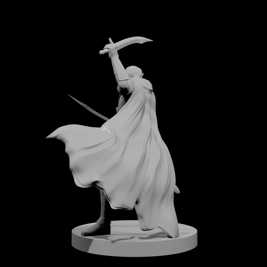 Elf Male Two Sword Ranger 4