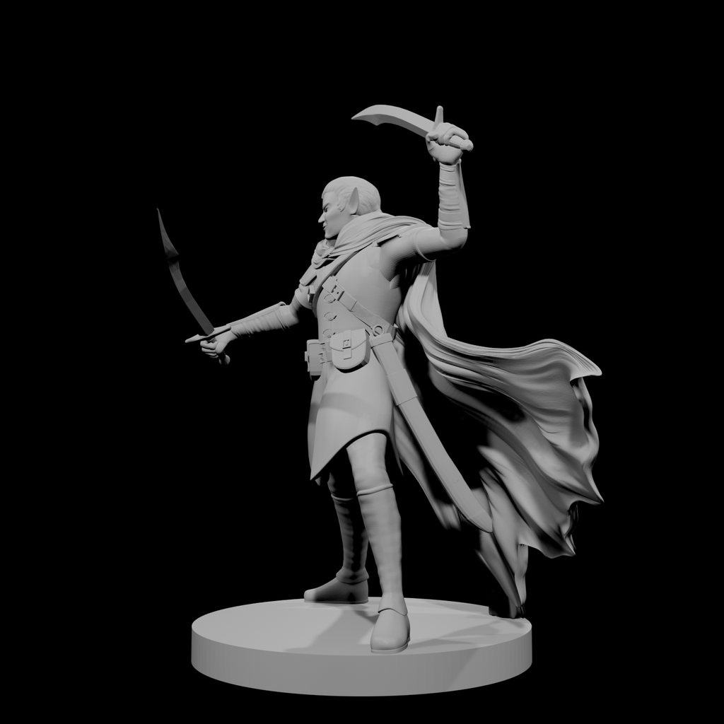 Elf Male Two Sword Ranger 4