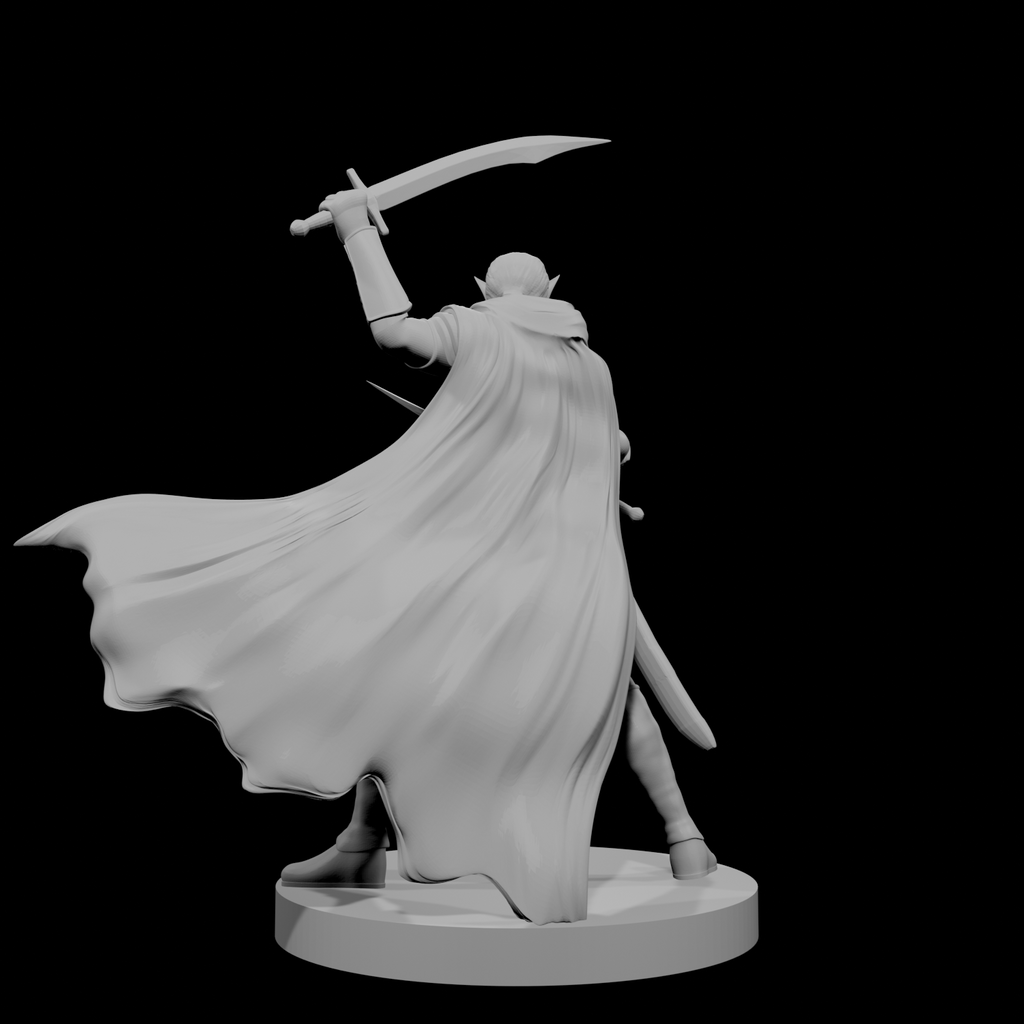 Elf Male Two Sword Ranger 4