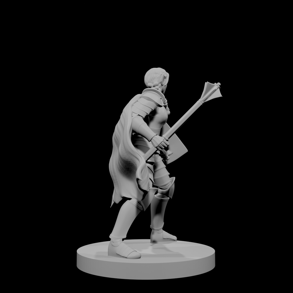 Elven Female Light Cleric
