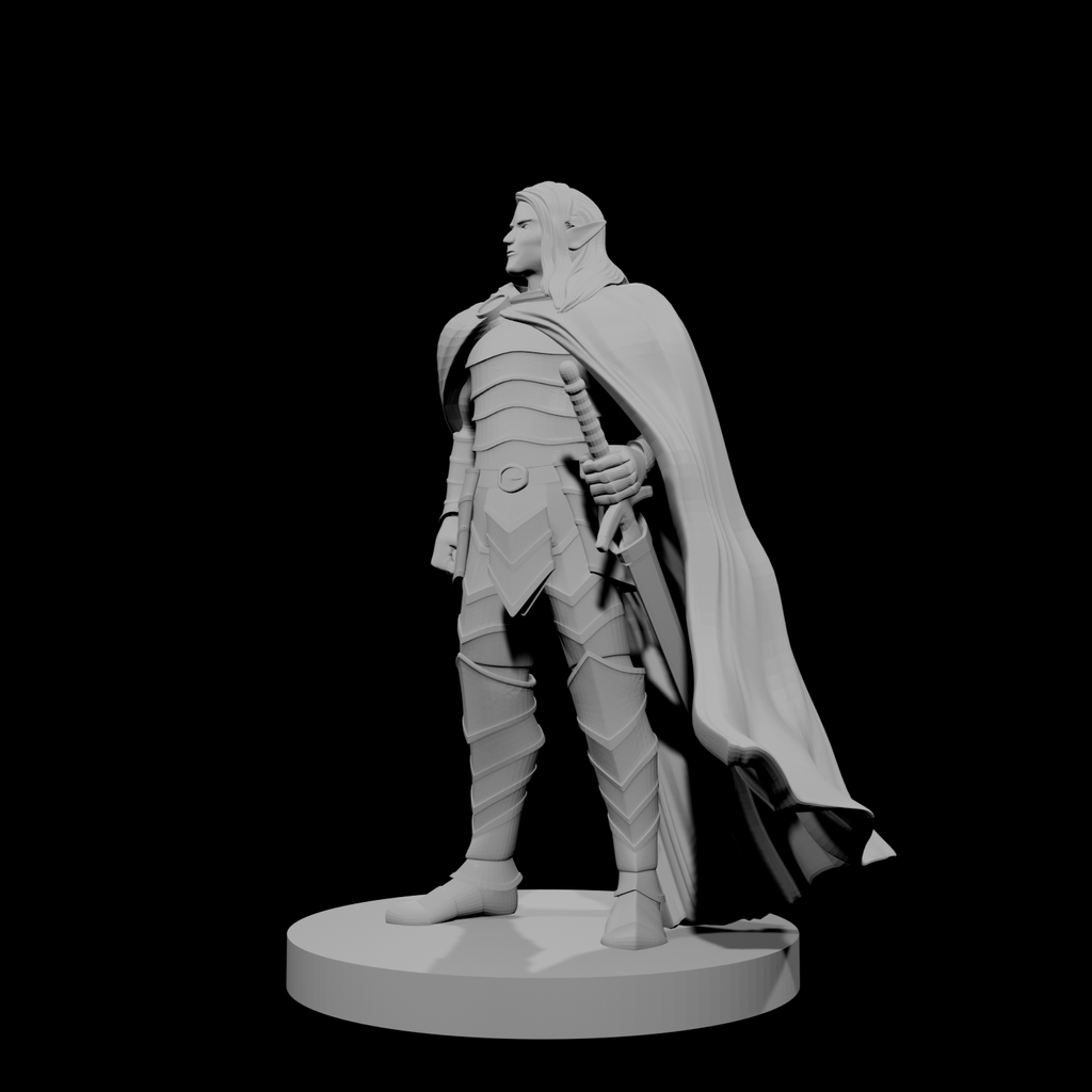Elven Male Paladin