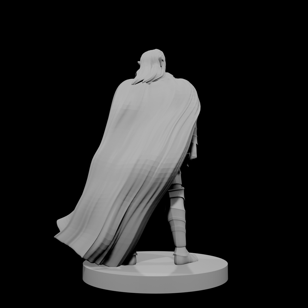 Elven Male Paladin