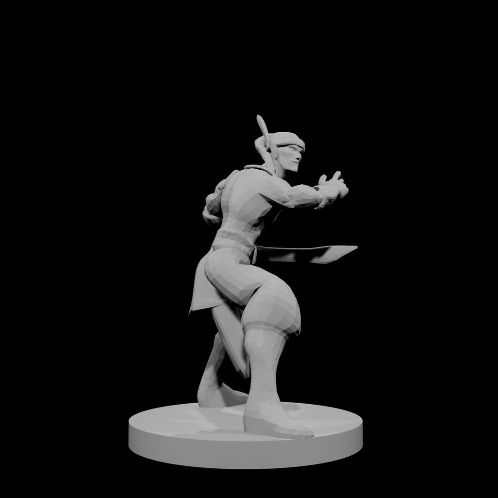 Elven Pirate