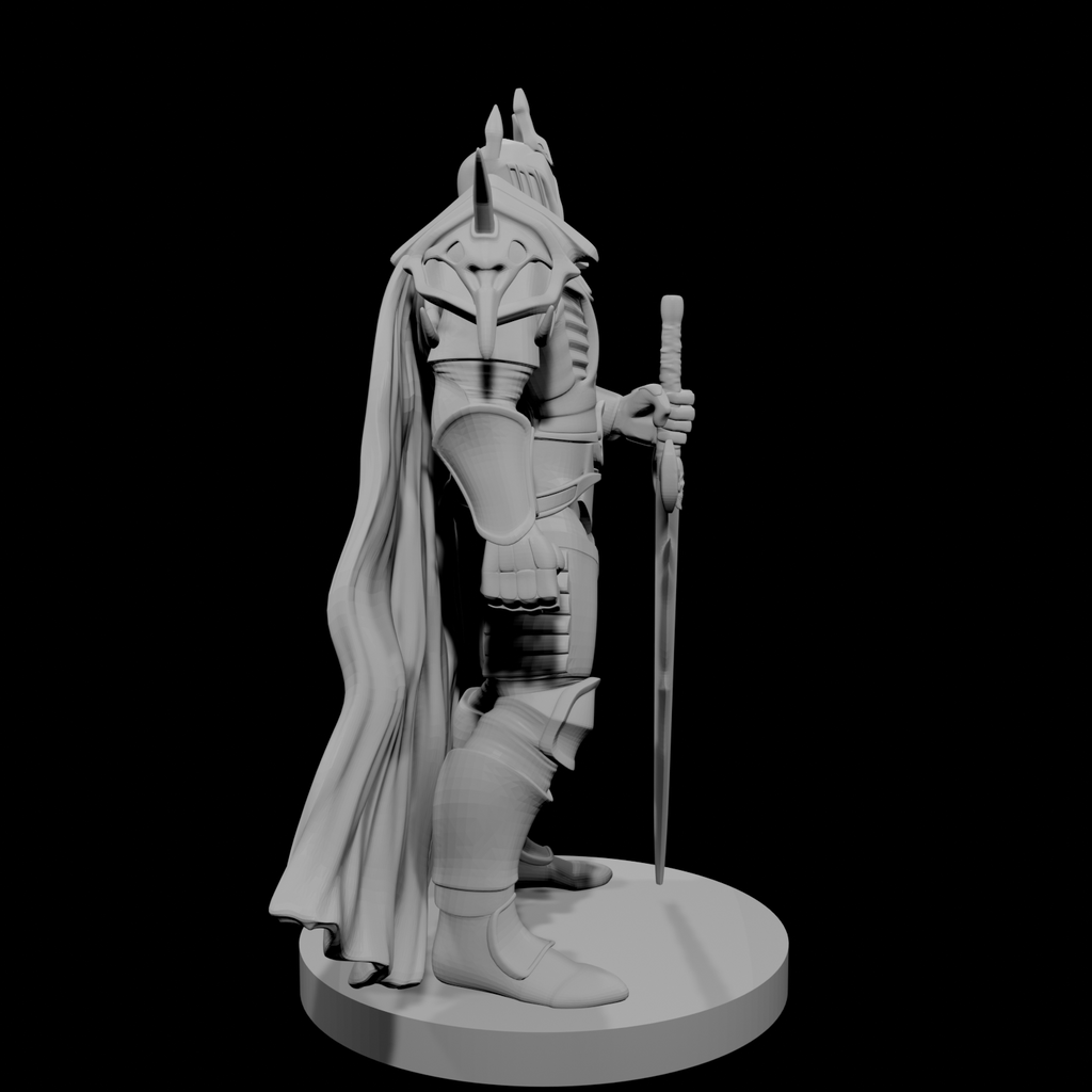 Fallen Paladin