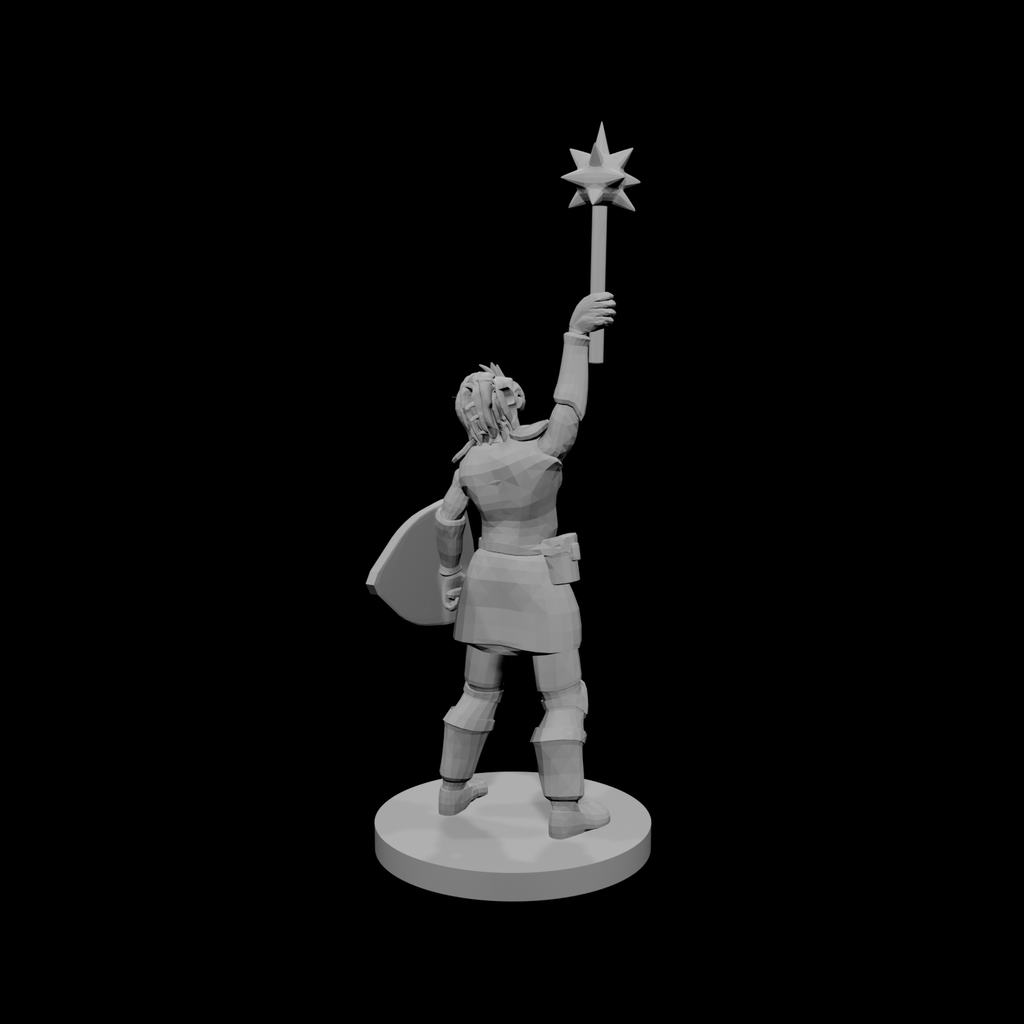 Female Dragonborn Paladin Cleric