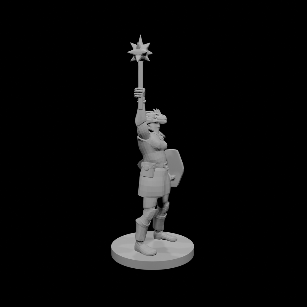 Female Dragonborn Paladin Cleric
