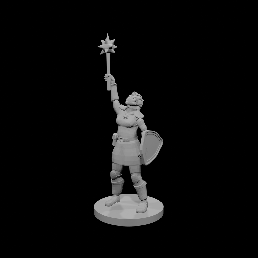 Female Dragonborn Paladin Cleric