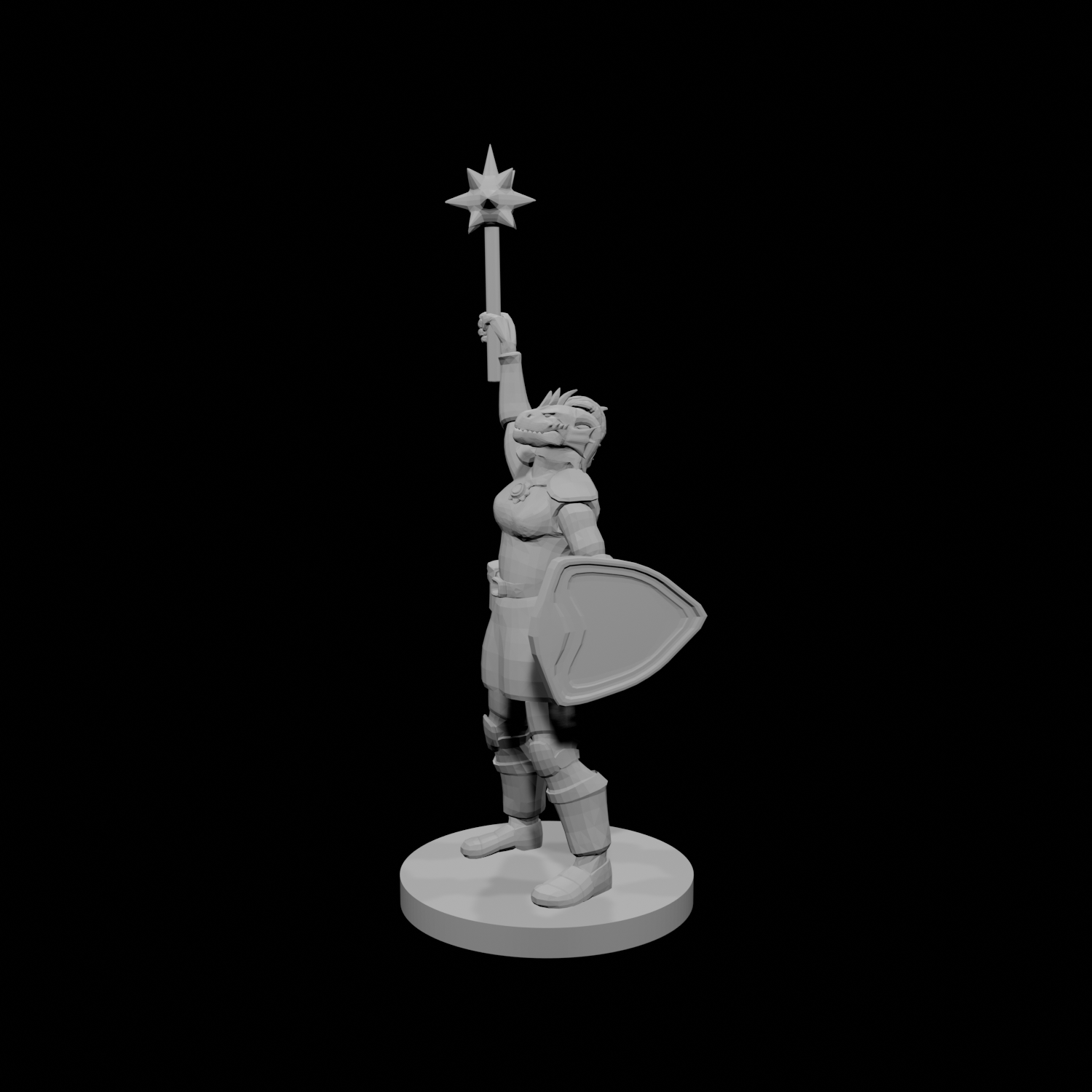 Female Dragonborn Paladin Cleric