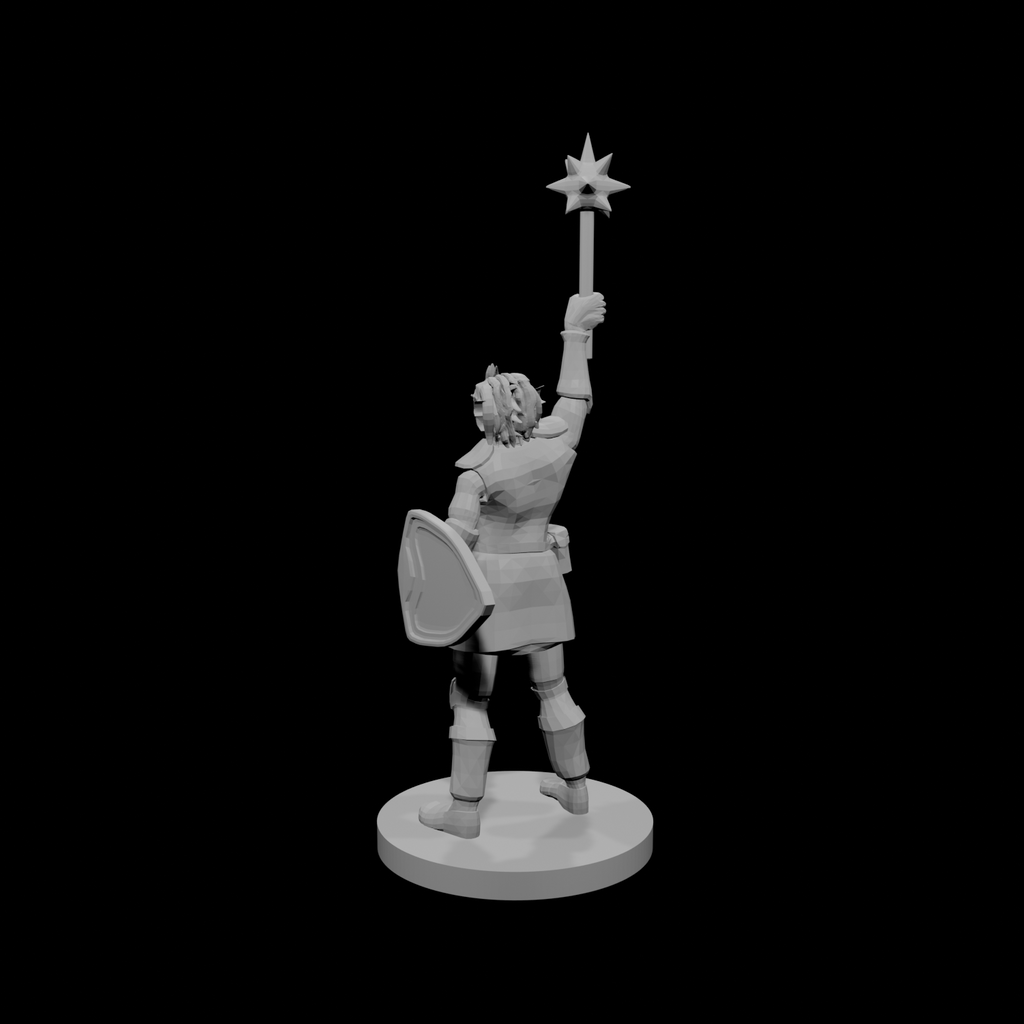 Female Dragonborn Paladin Cleric