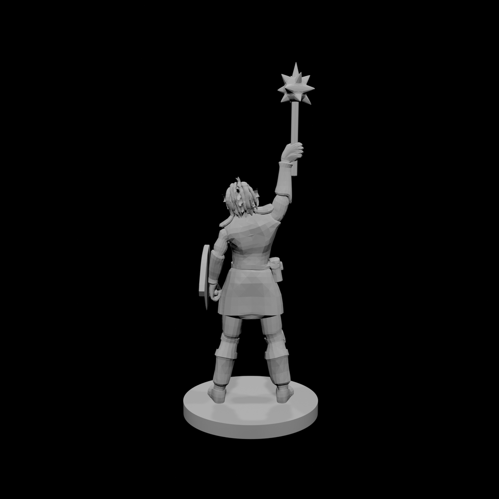 Female Dragonborn Paladin Cleric