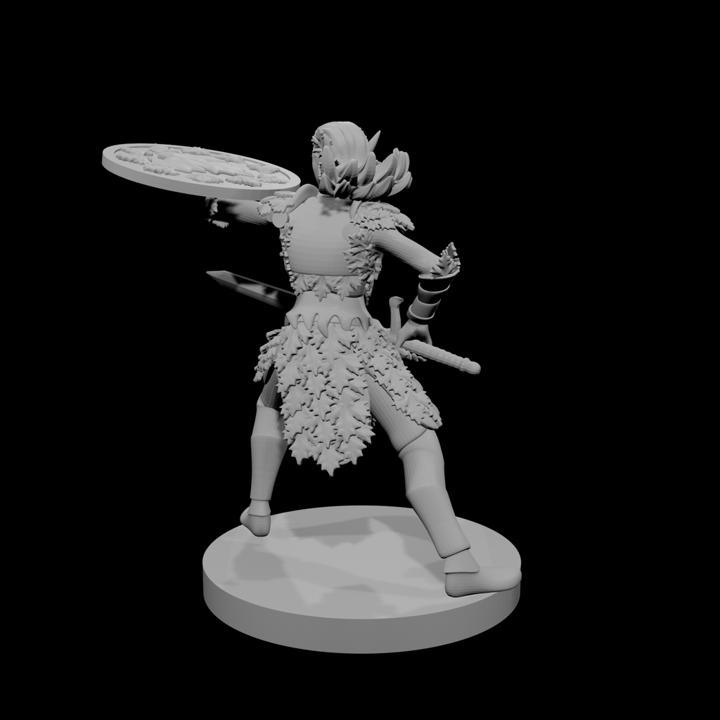 Female Eladrin Fighter Shield Bash
