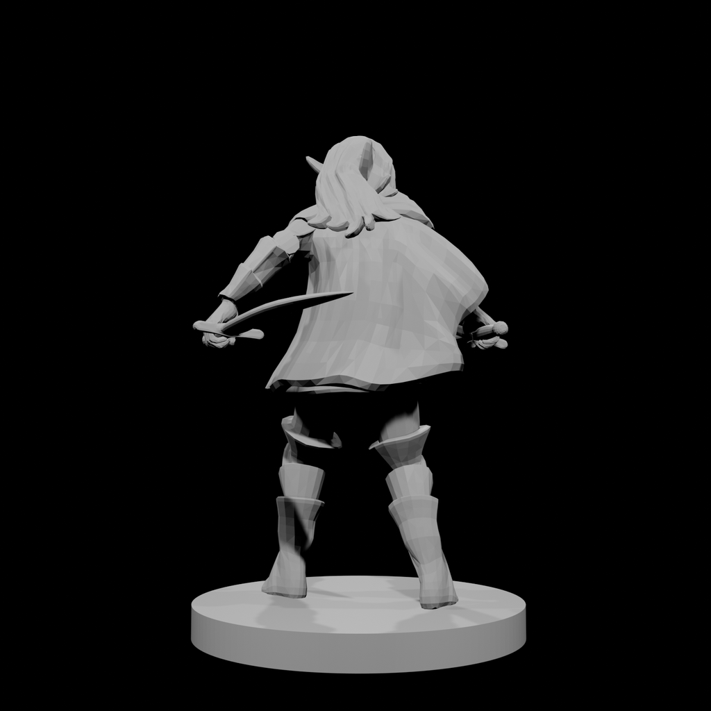 Female Elven Bladesinger