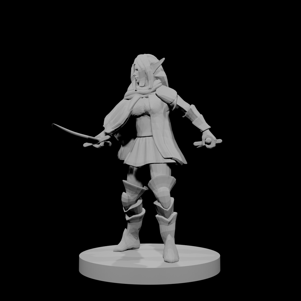 Female Elven Bladesinger