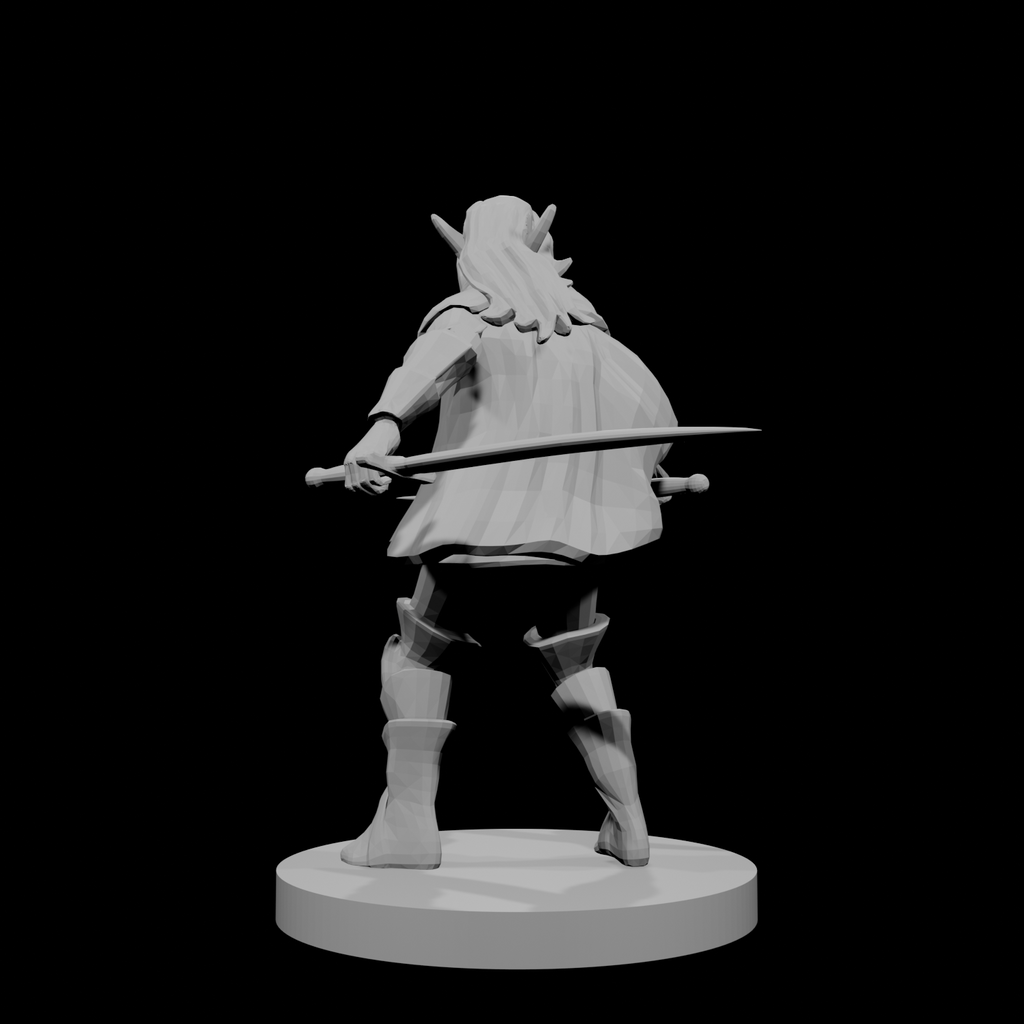 Female Elven Bladesinger