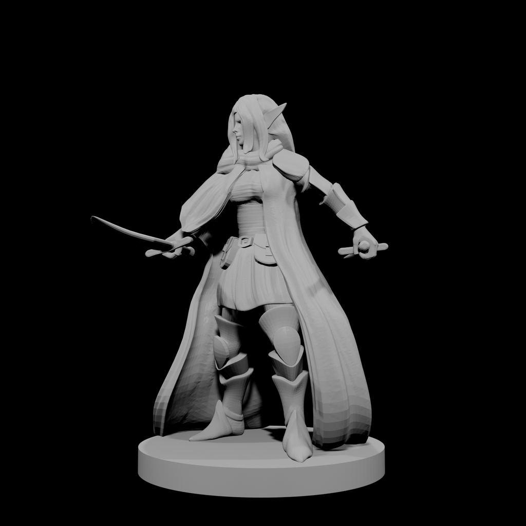 Female Elven Bladesinger 2