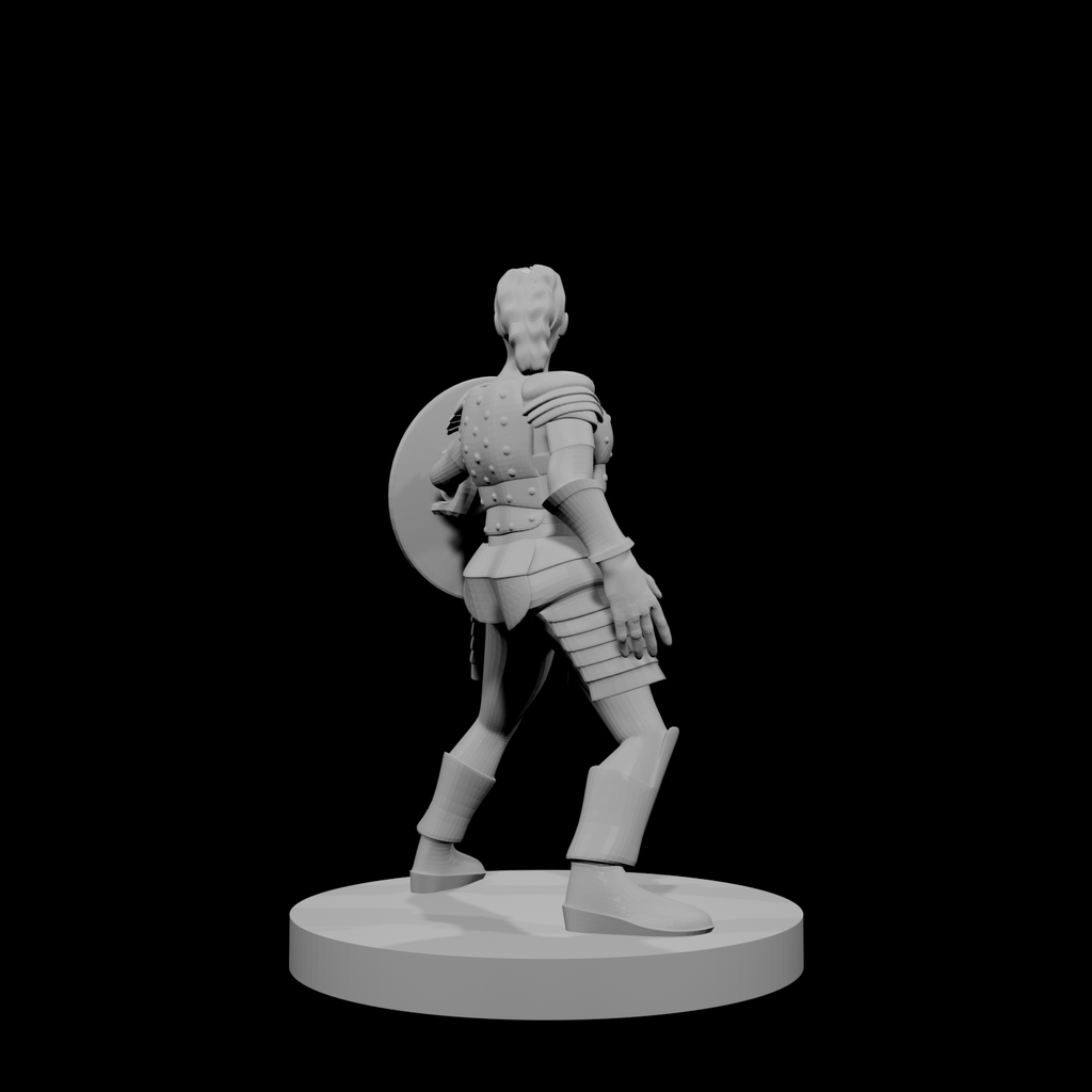 Female Human Cleric Shield