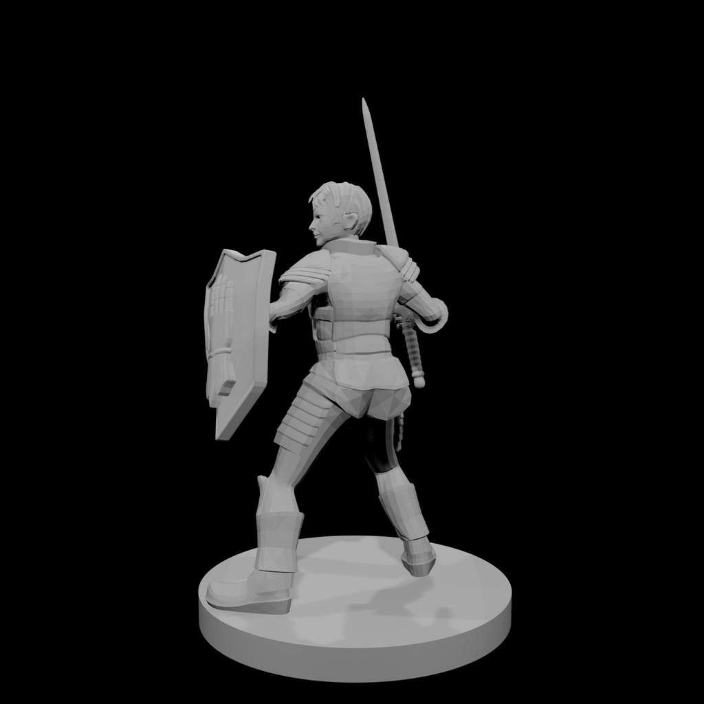 Female Paladin 2