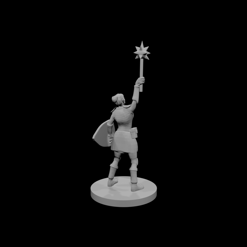 Female Sun Paladin Cleric