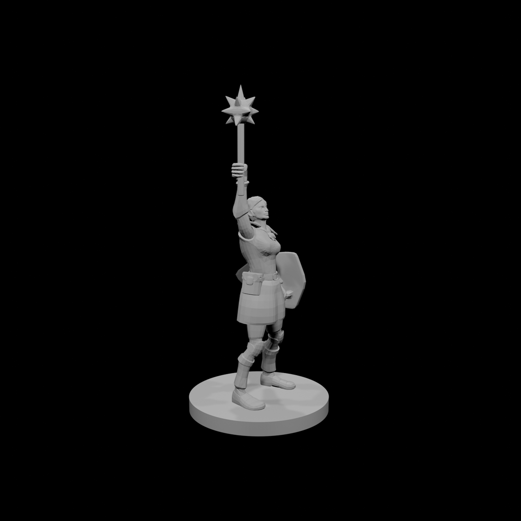 Female Sun Paladin Cleric