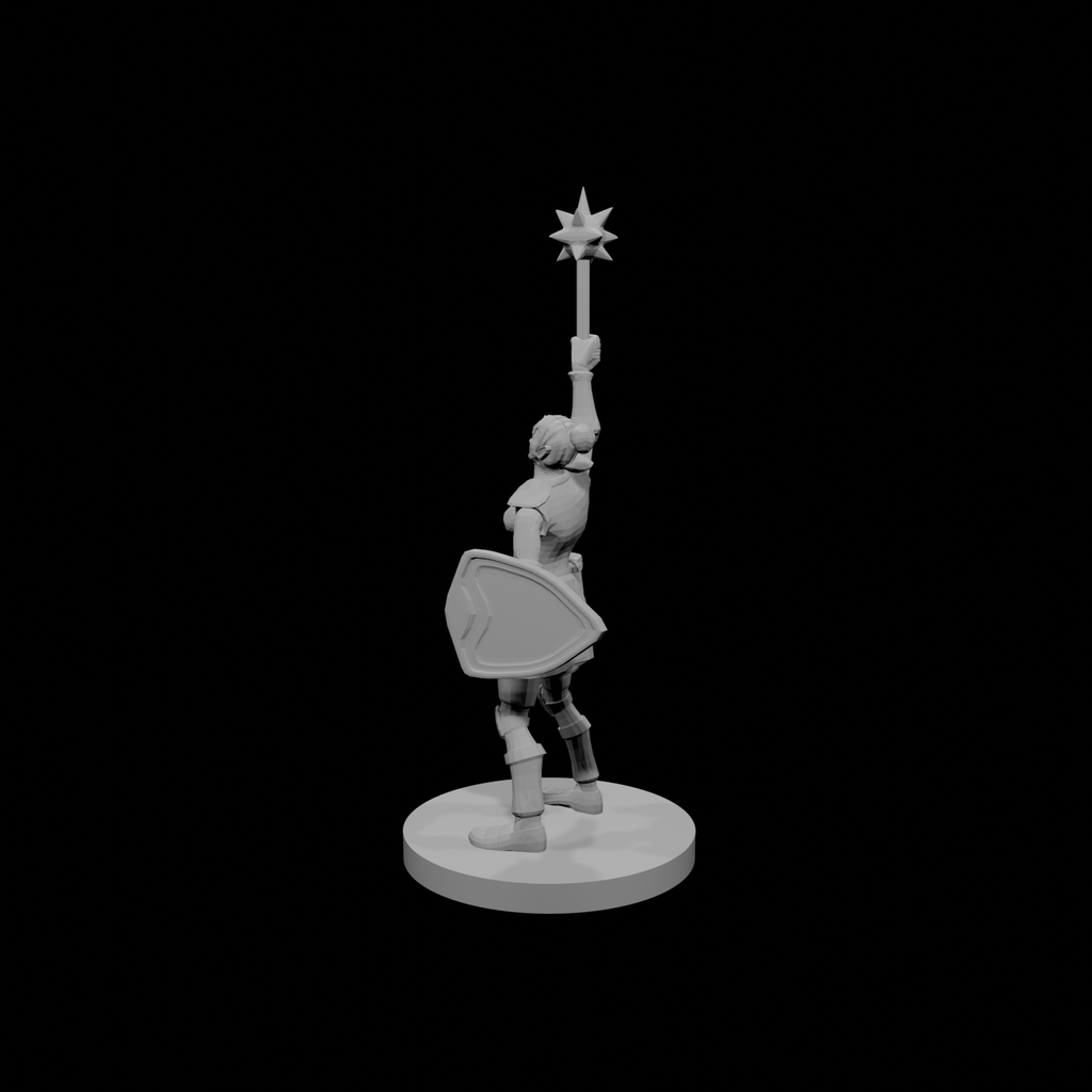 Female Sun Paladin Cleric