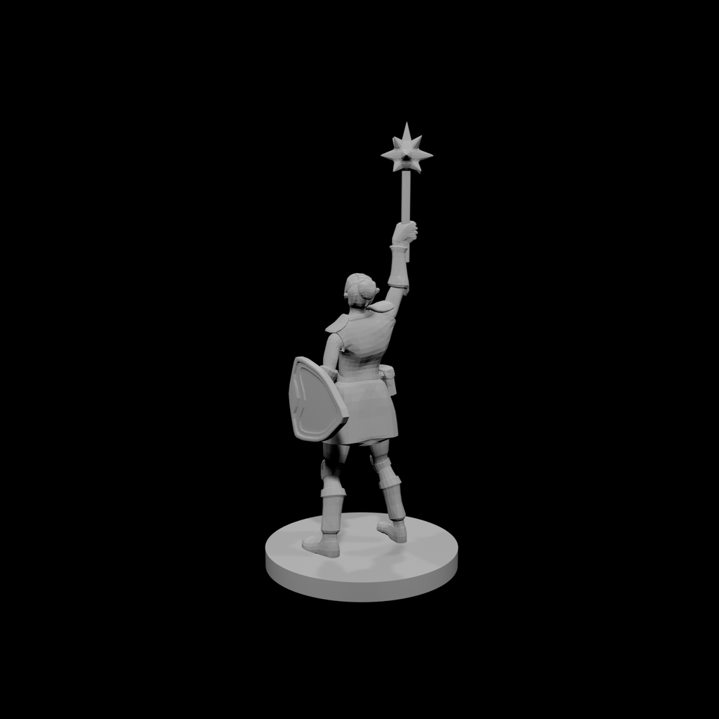 Female Sun Paladin Cleric