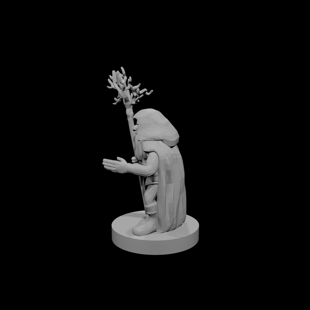 Gnome  Druid