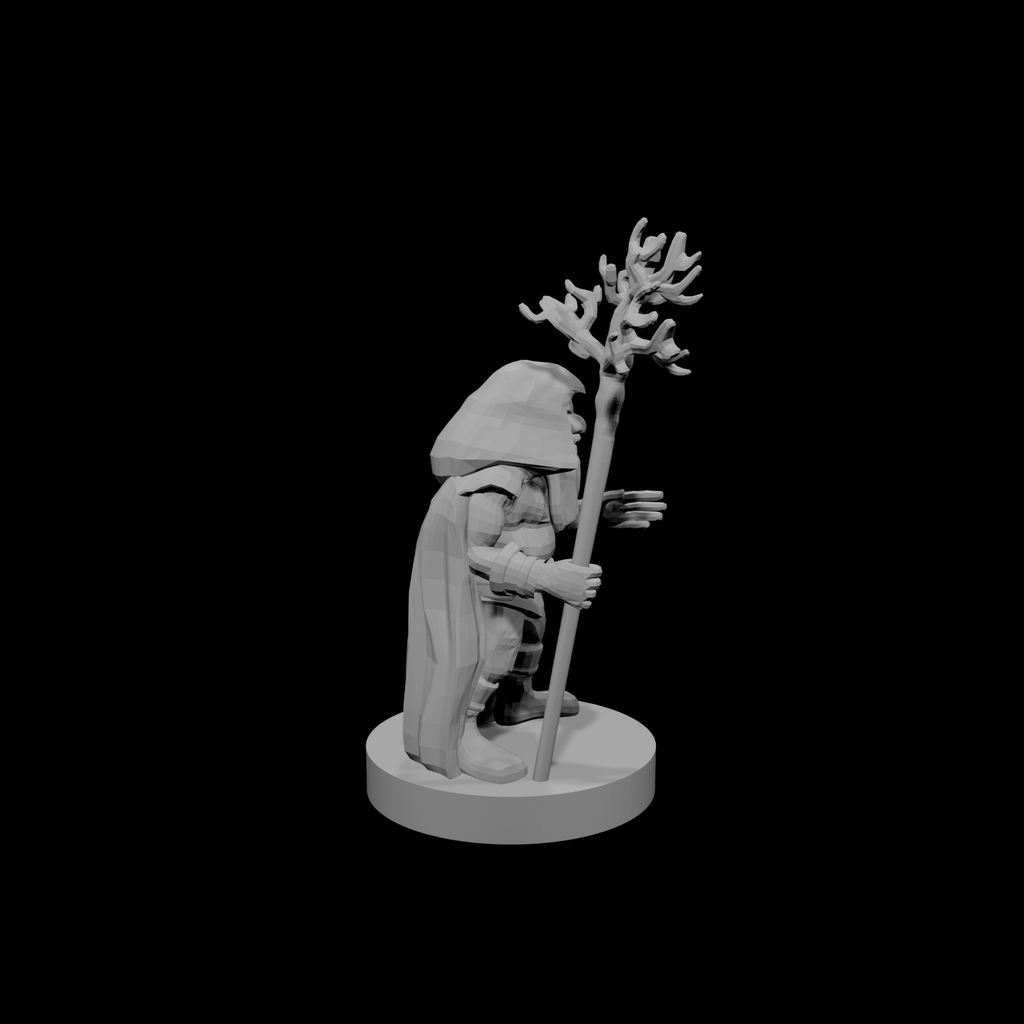 Gnome  Druid