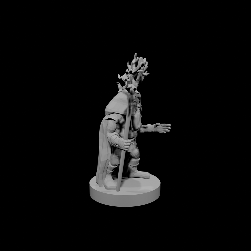 Gnome  Druid