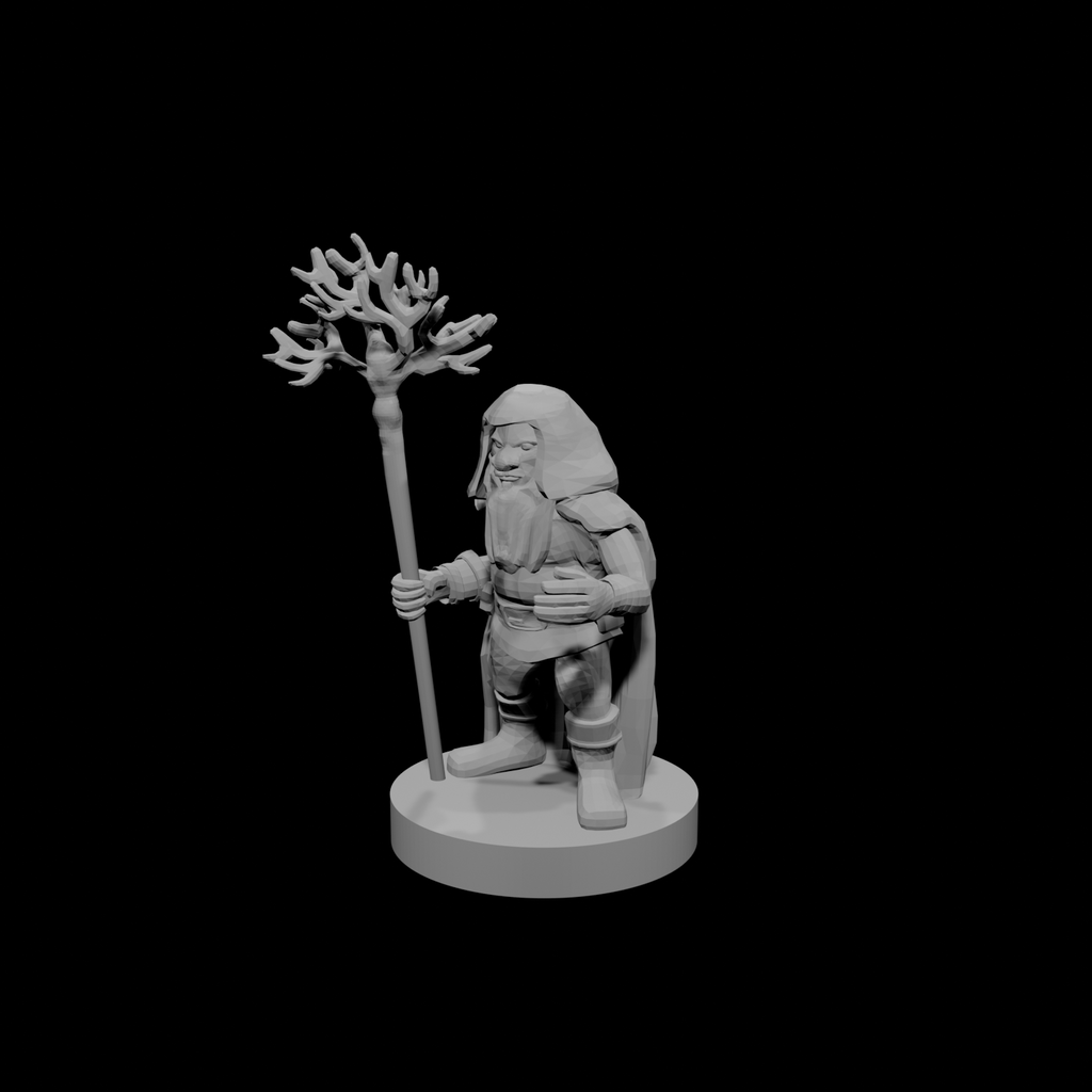 Gnome  Druid