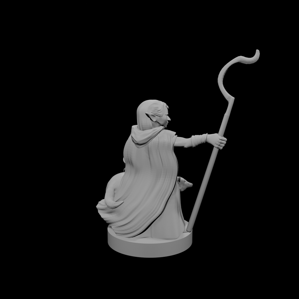 Gnome Female Druid