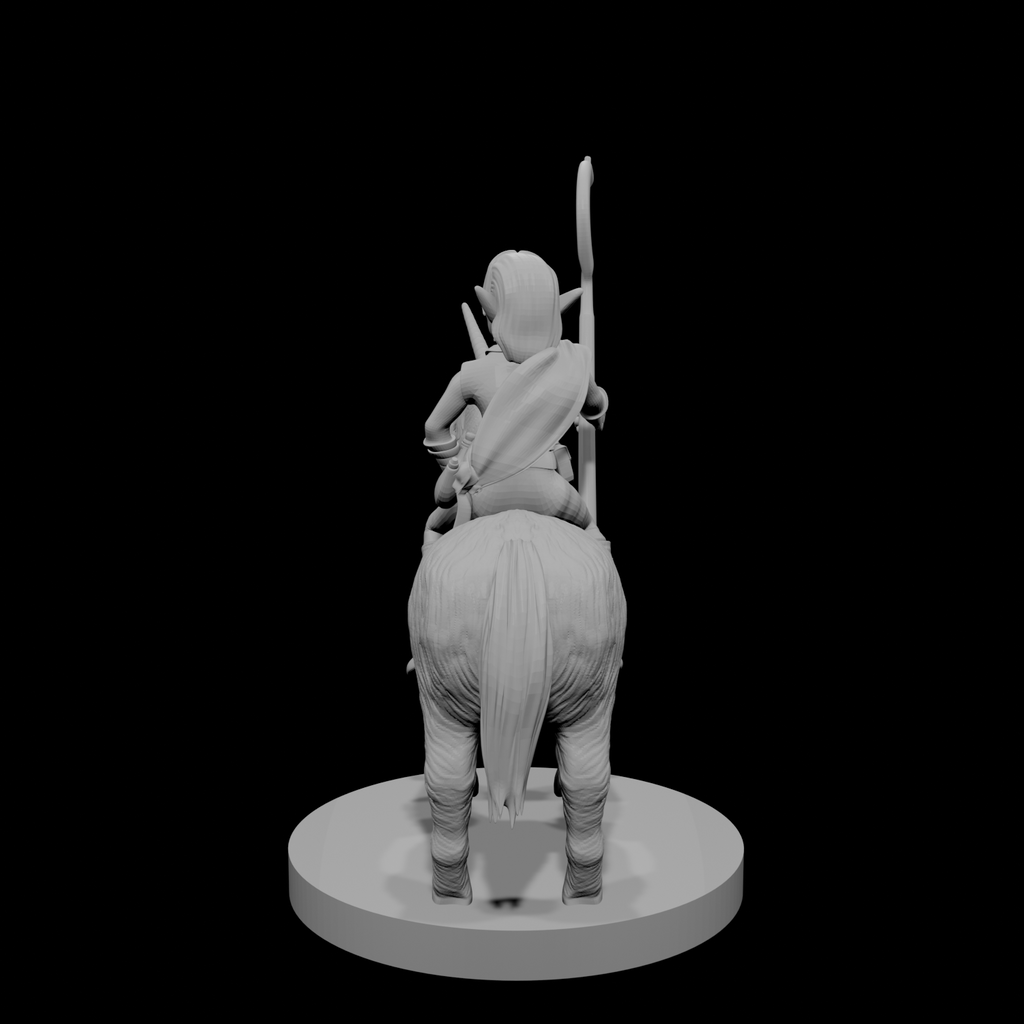 Gnome Male Druid on Pocket Unicorn