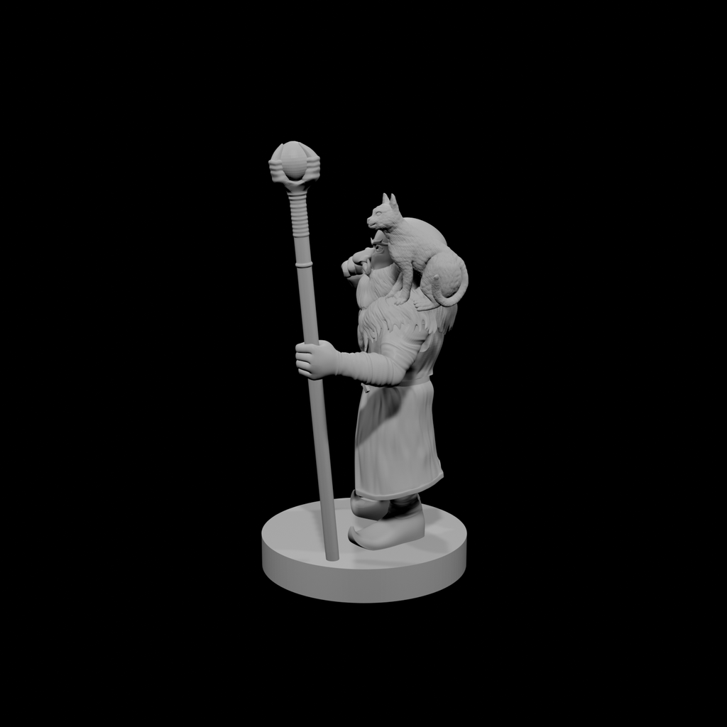 Gnome Male Warlock of the Fiend