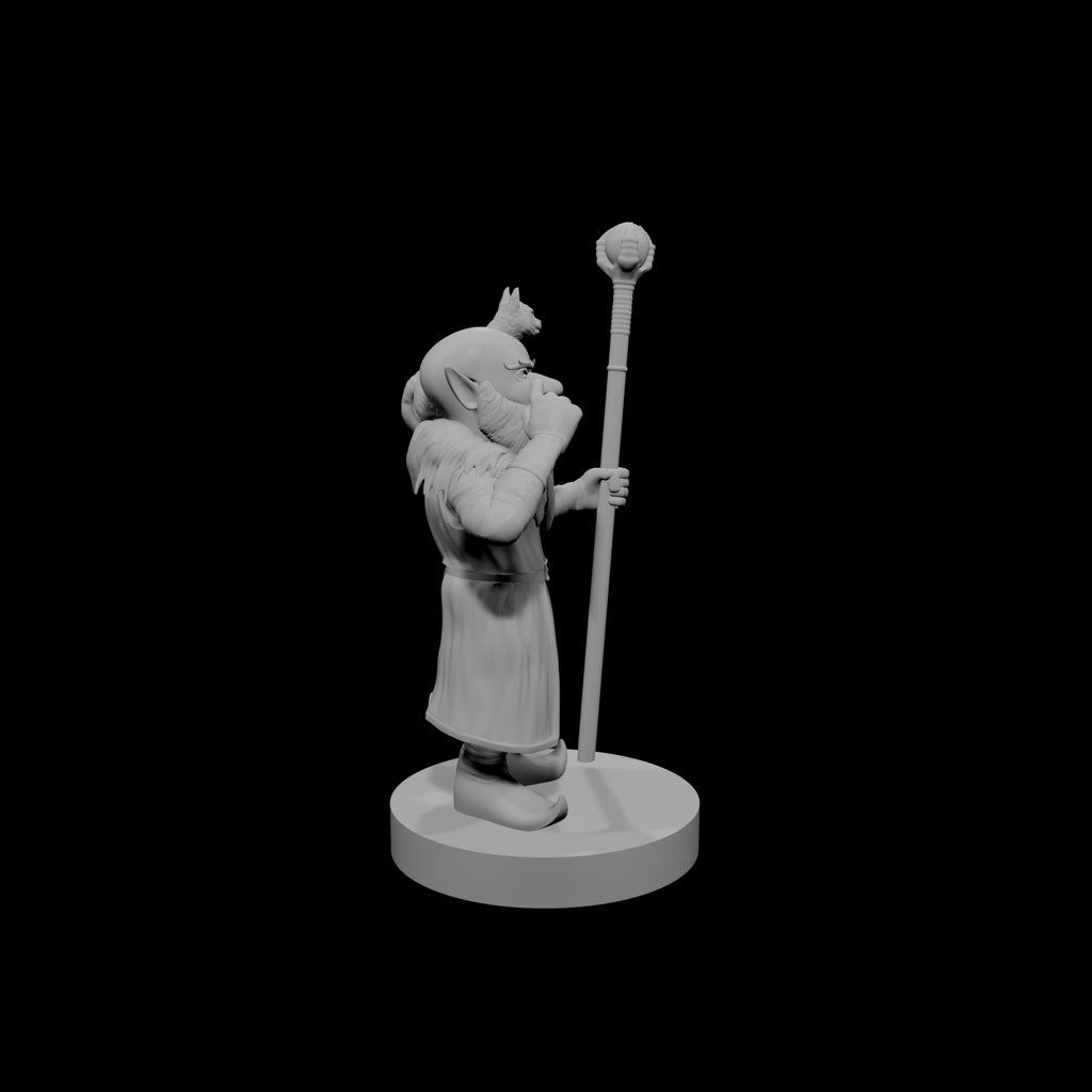 Gnome Male Warlock of the Fiend