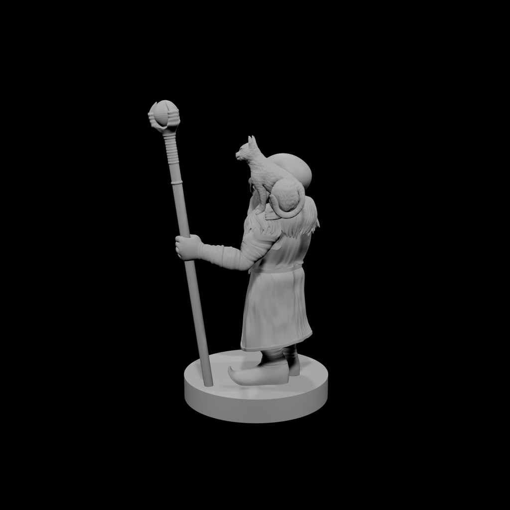 Gnome Male Warlock of the Fiend