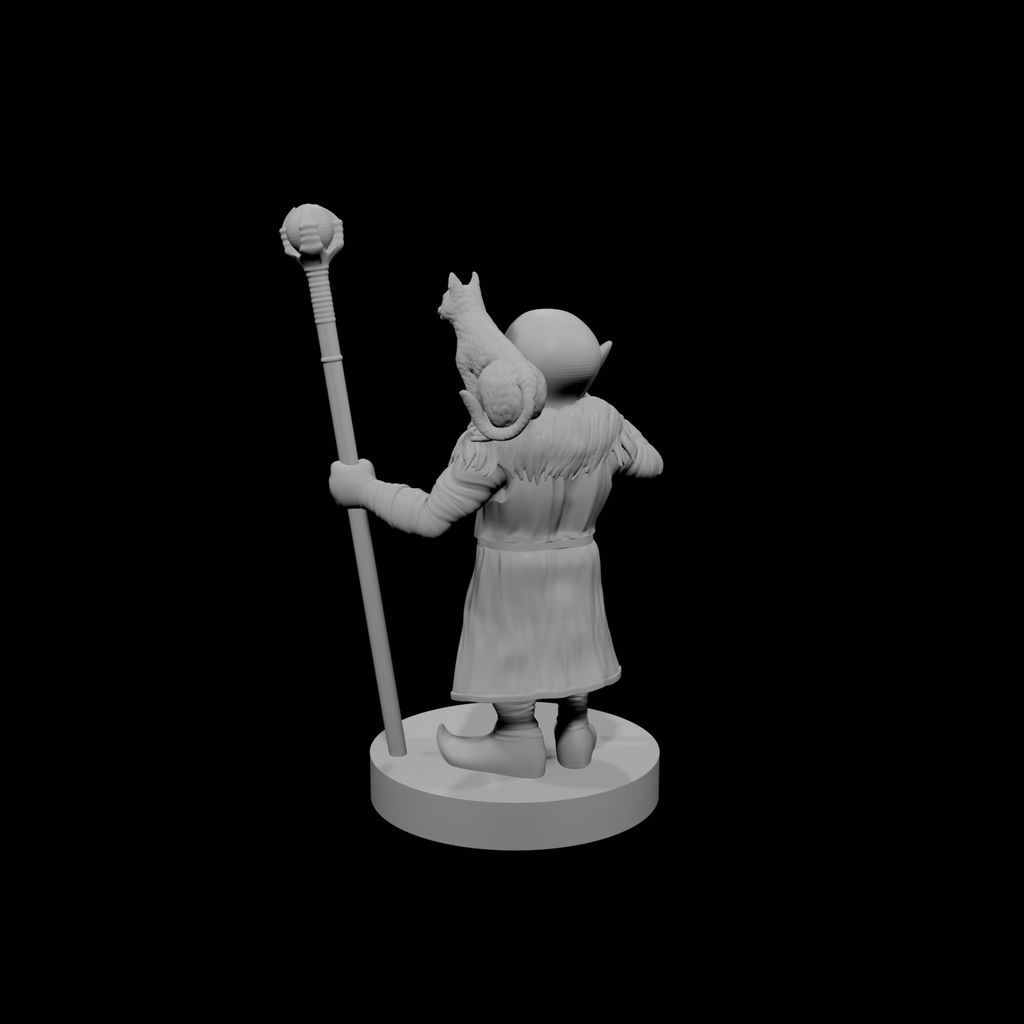 Gnome Male Warlock of the Fiend