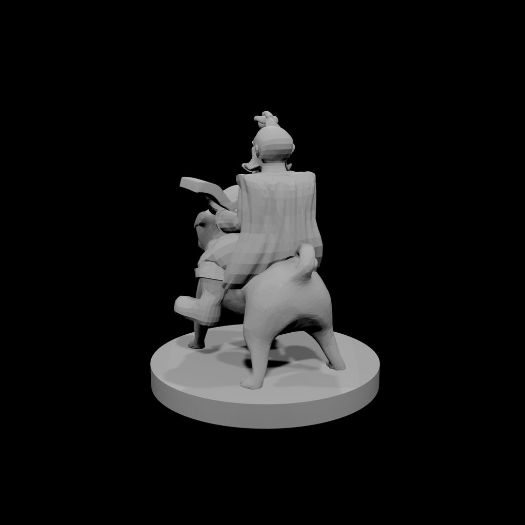 Gnome Wizard on a Doggy