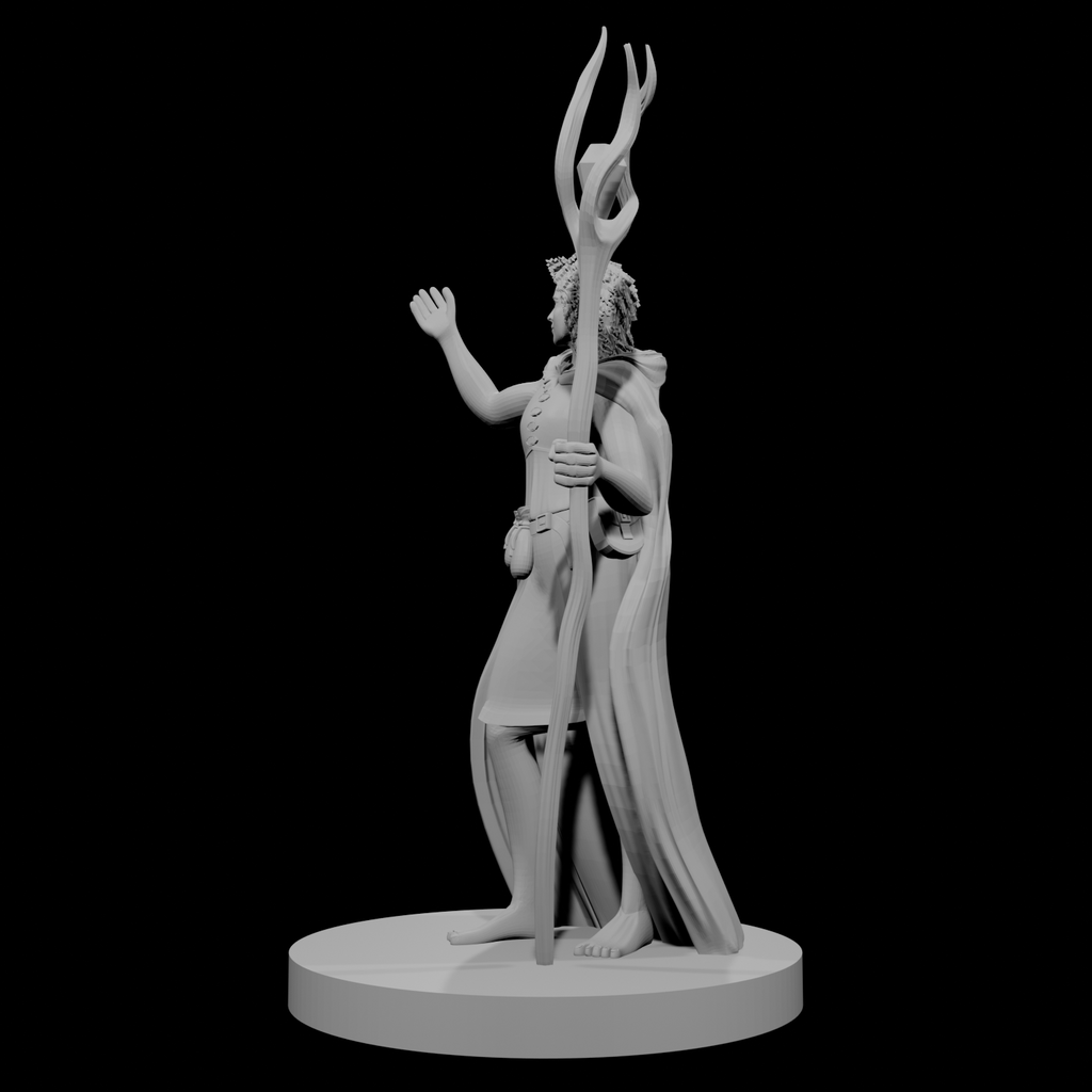 Half Dryad Female Wizard