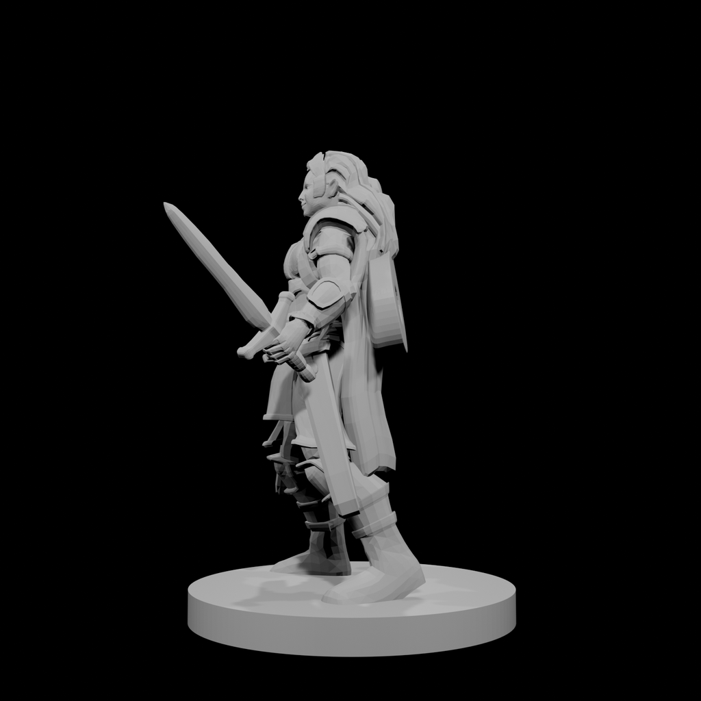 Half Elf Female Bard Paladin
