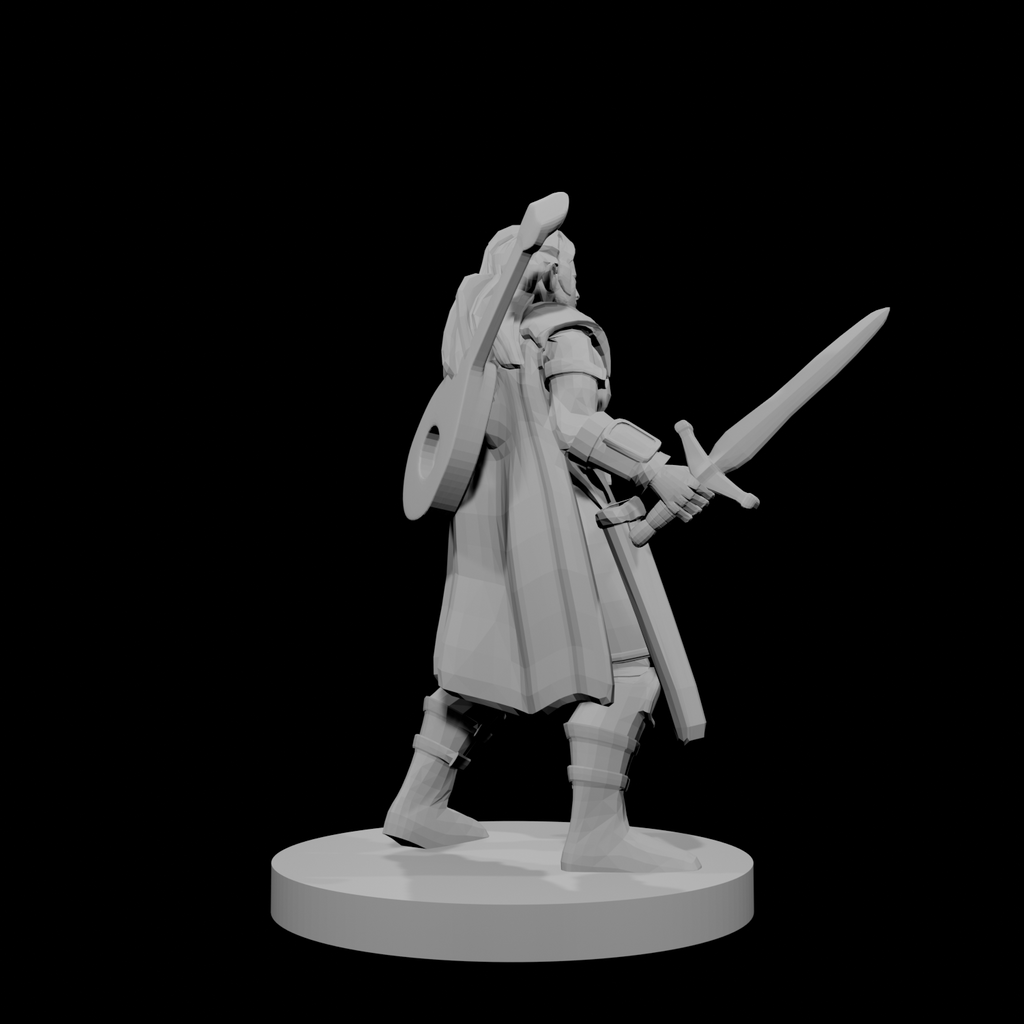 Half Elf Female Bard Paladin