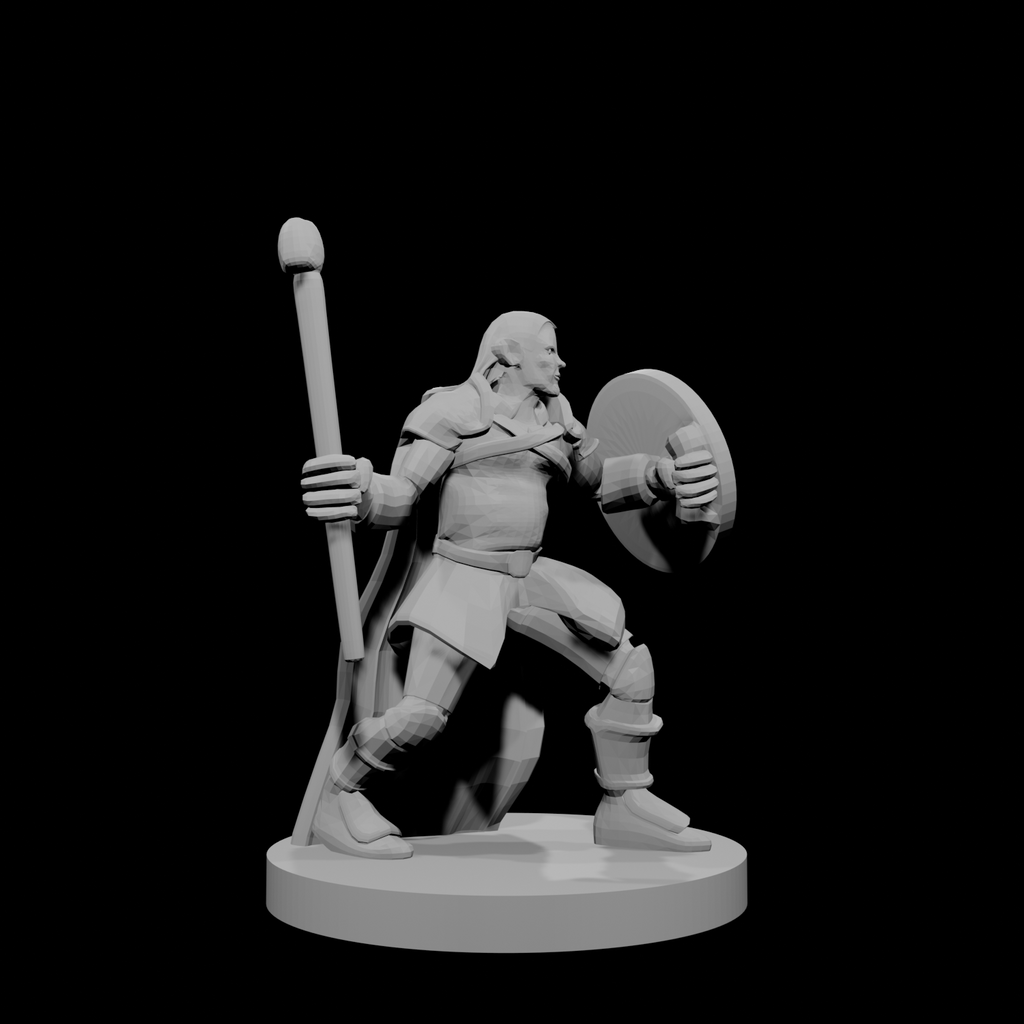 Half Elf Male Druid Club and Shield