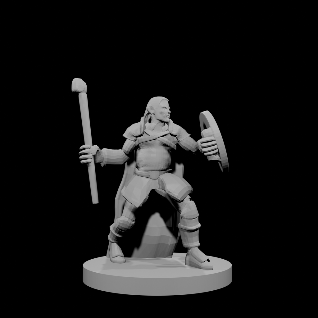 Half Elf Male Druid Club and Shield