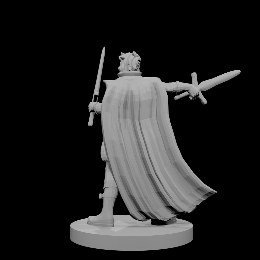 Half Elf Two Weapon Fighter